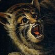 Cat956
